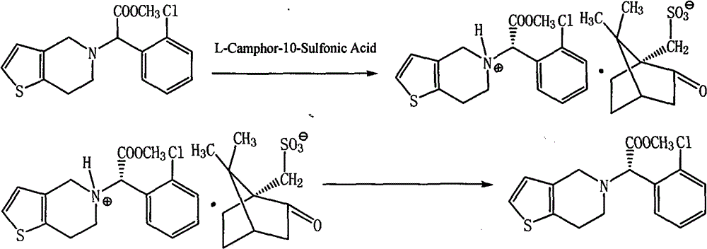 Method for improving resolution yield of clopidogrel camphorsulfonate