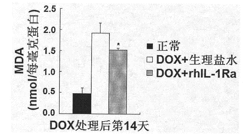 Use of interleukin-1receptor antagonist (IL-1Ra), and pharmaceutical compositions of IL-1Ra
