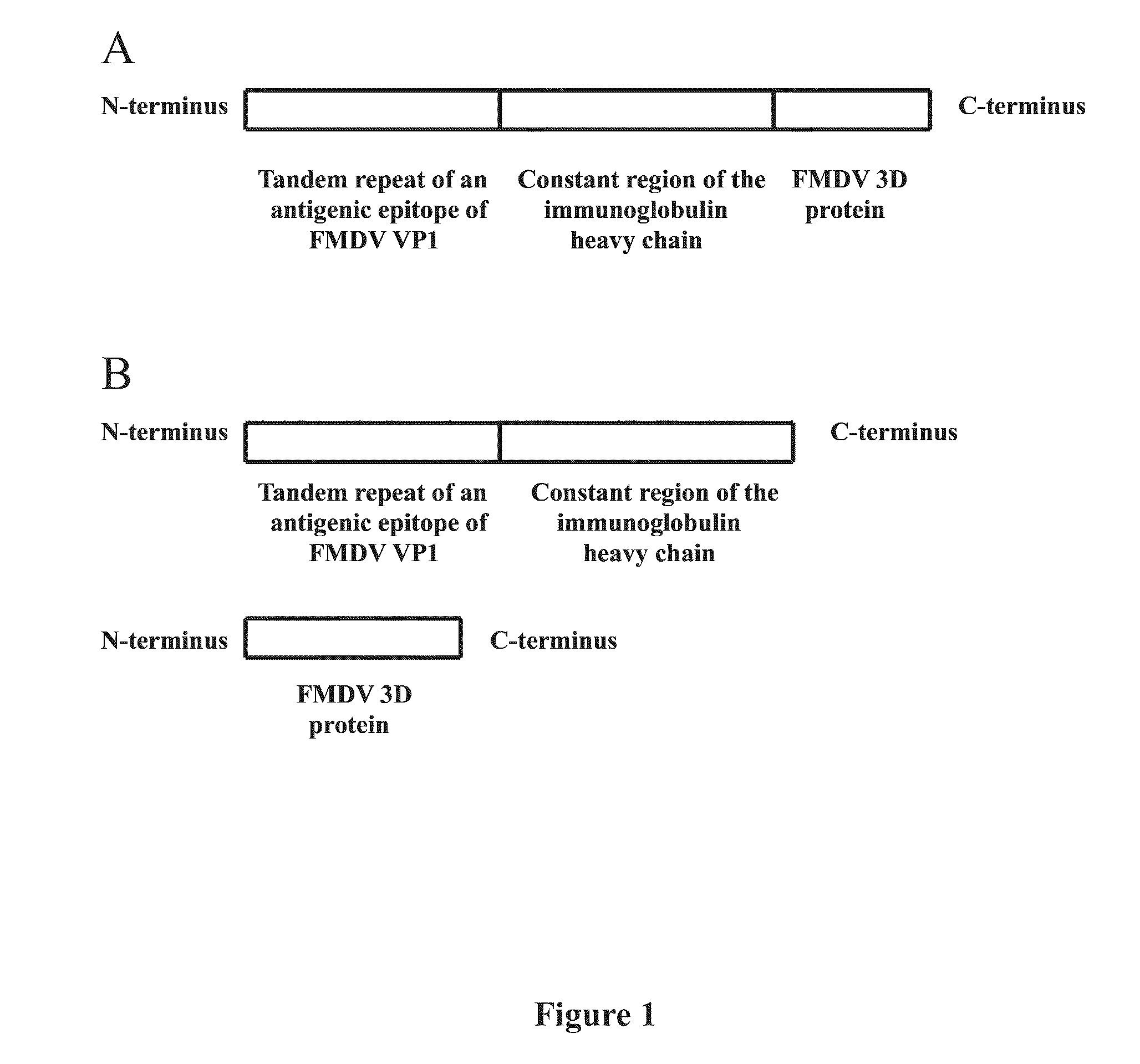 Anti-fmd vaccine composition and preparation and use thereof