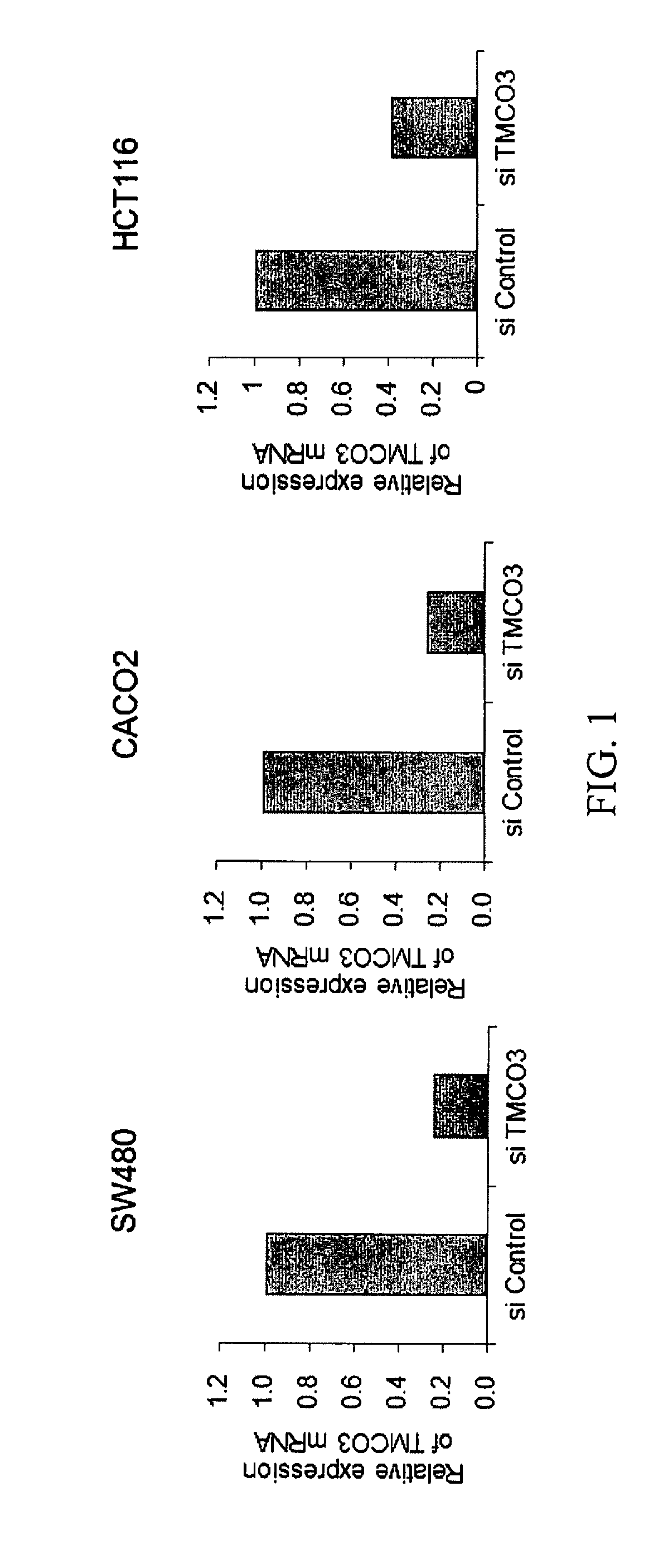 Methods and compositions involving transmembrane and coiled-coil domains 3 (tm-co3) in cancer
