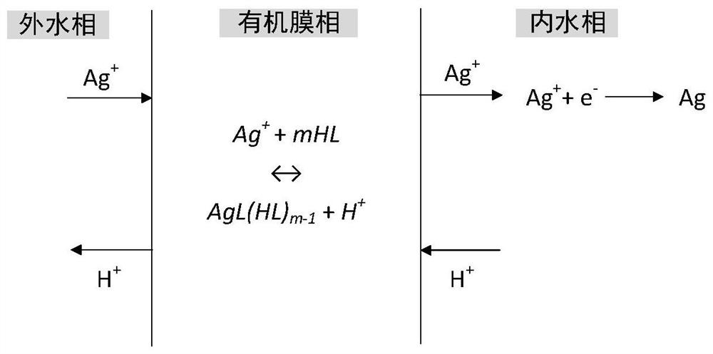 Method for recovering silver from waste circuit board