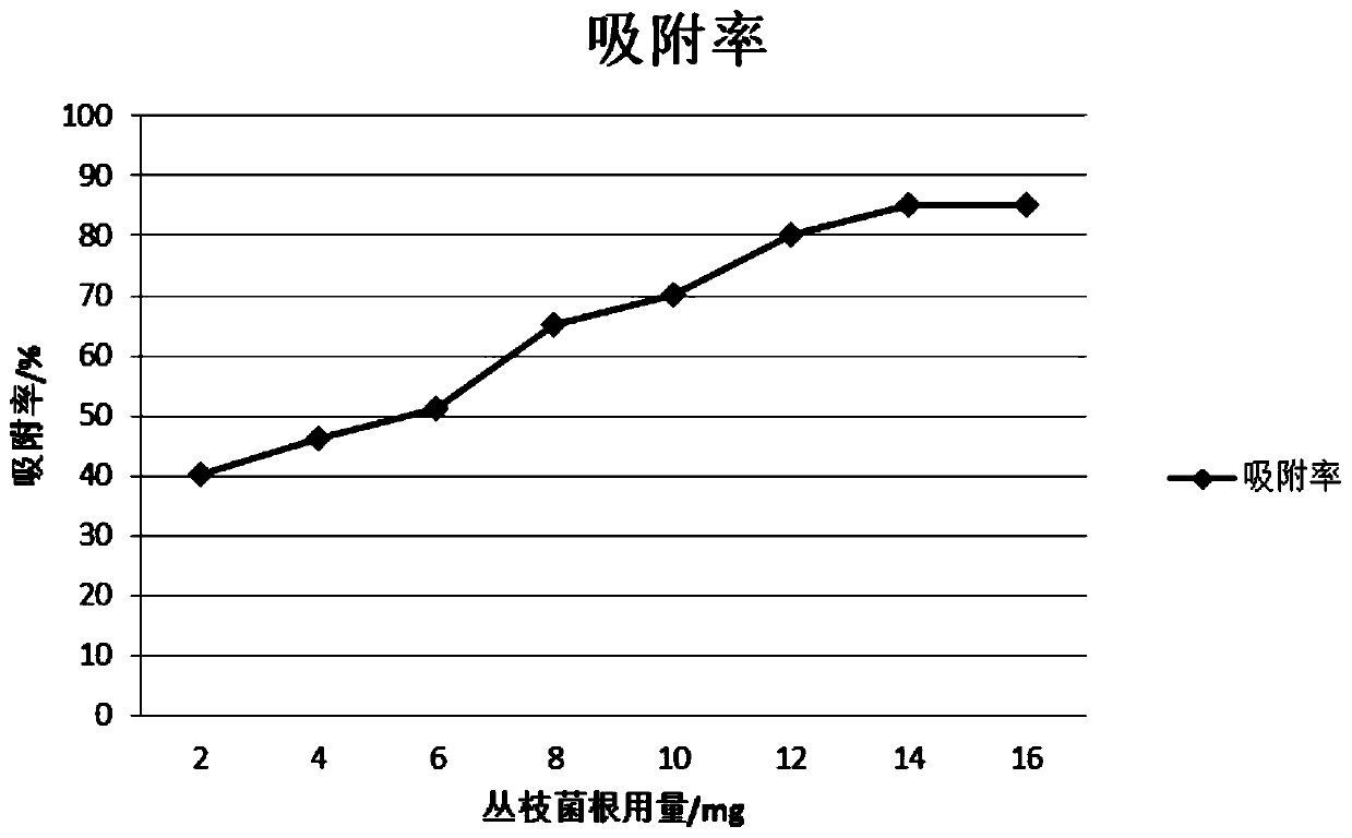 Method for adsorbing heavy metals in soil through plant-microorganism combination