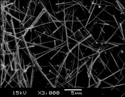Preparation method for copper nanowire