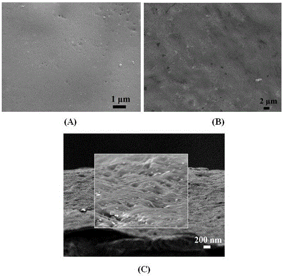 Preparation method of phosphoric acid-doped layer by layer self-assembly polymer composite film