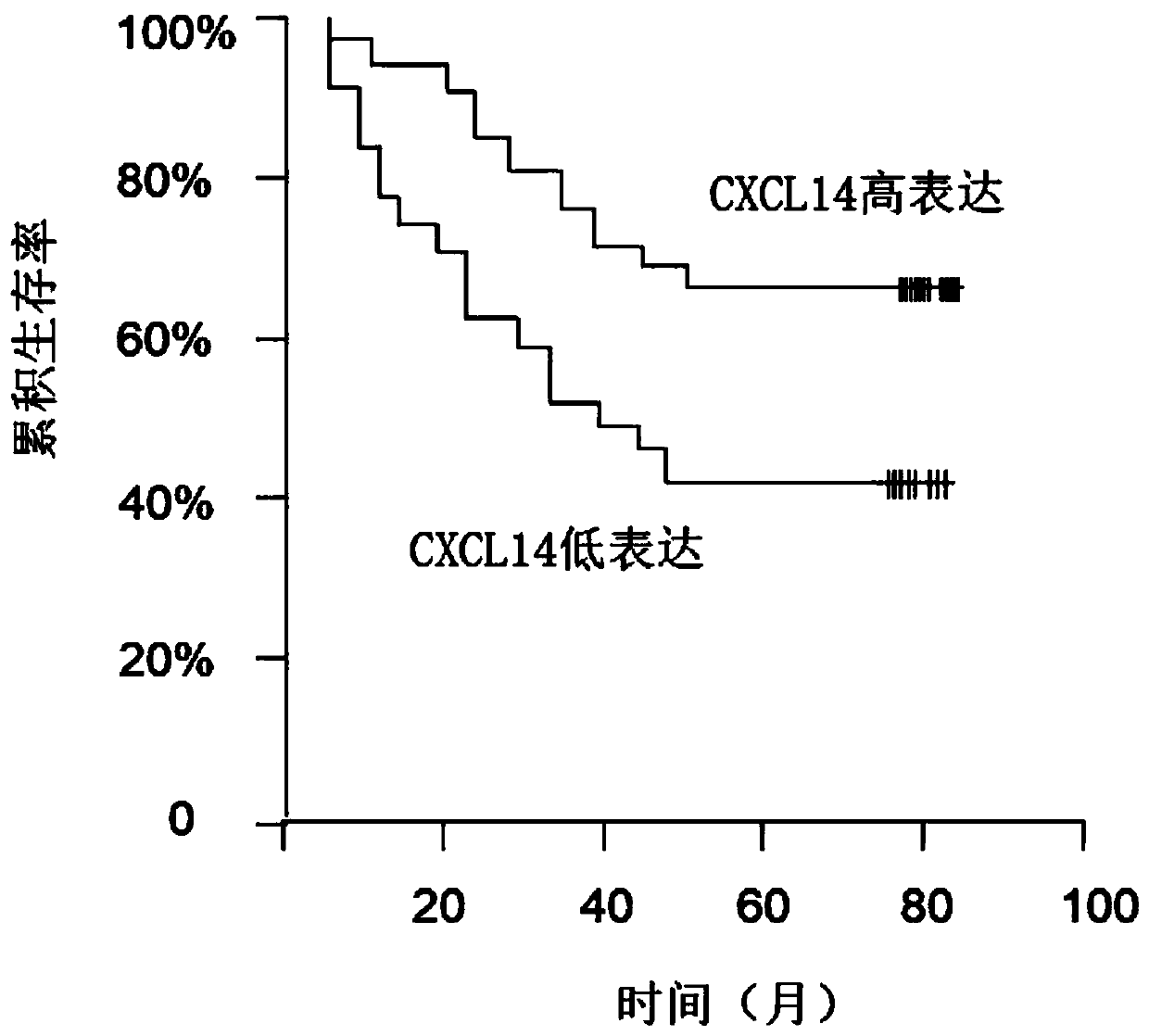 Application of chemokine CXCL14 in predicting prognosis of colon cancer