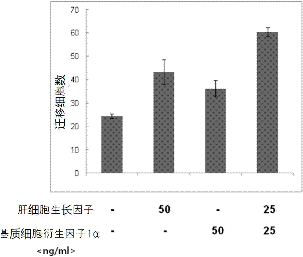 Composition for preventing or treating peripheral vascular disease using hepatocyte growth factor and stromal cell derived factor 1[alpha]