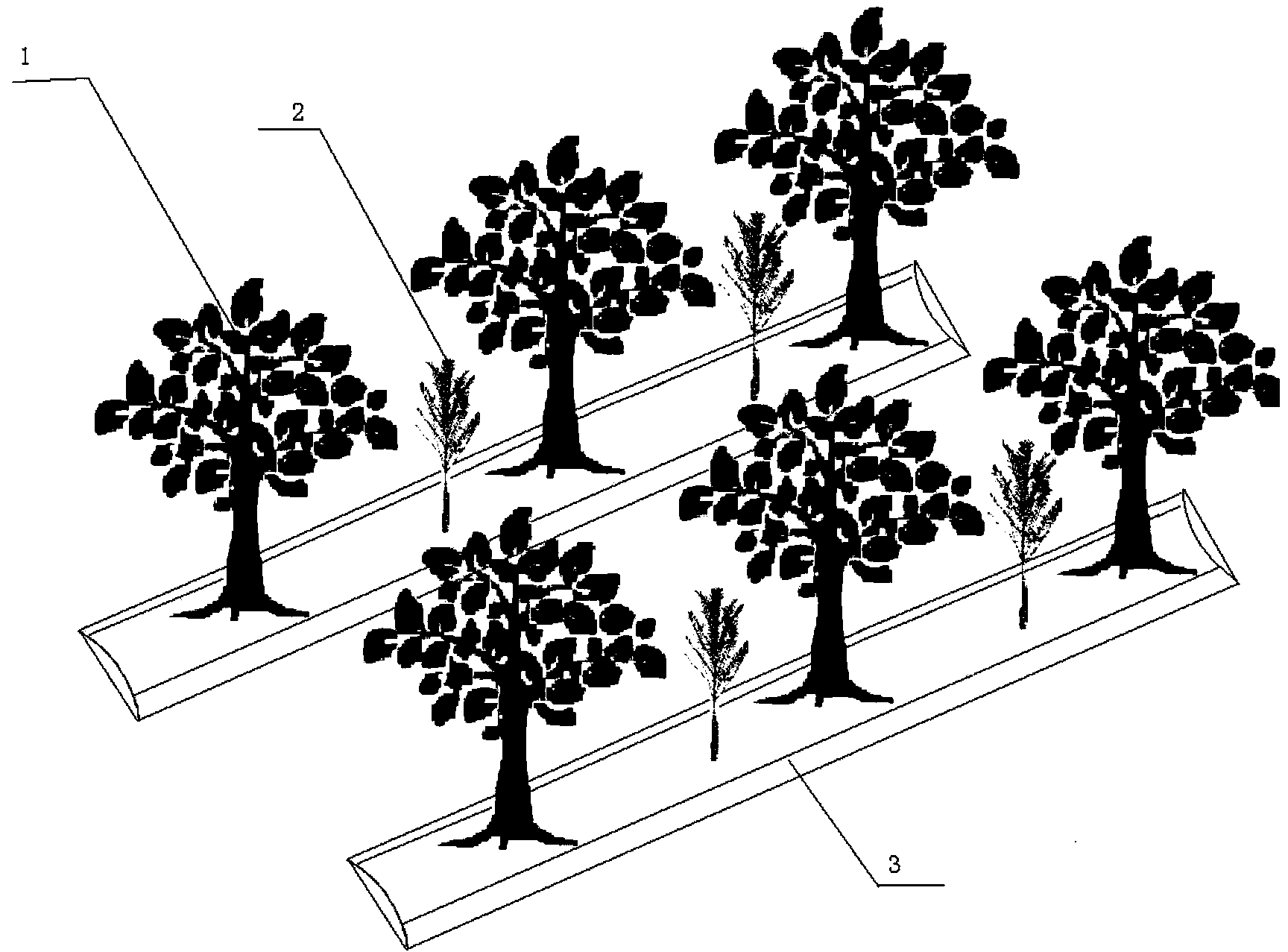 Apple ecological cultivation method for controlling diseases and pests and improving apple quality