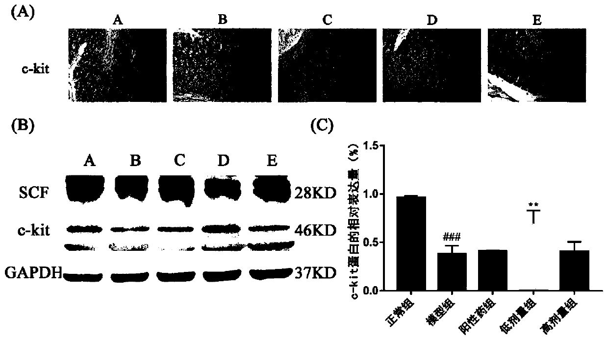 Novel use of cathartic formula with five fruits and vegetables as raw materials to increase gastrointestinal peristalsis and promote gastrointestinal emptying