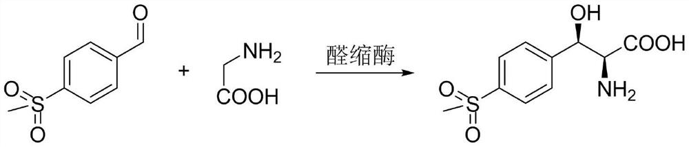 A method for preparing chiral (2s, 3r)-p-thymphenylphenylserine ethyl ester