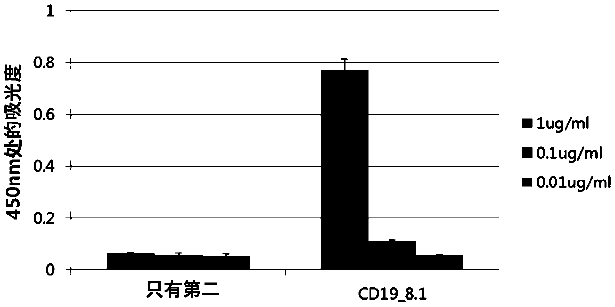 Antibody or antigen-binding fragment thereof that specifically recognizes b cell malignancies, chimeric antigen receptor comprising same, and uses thereof