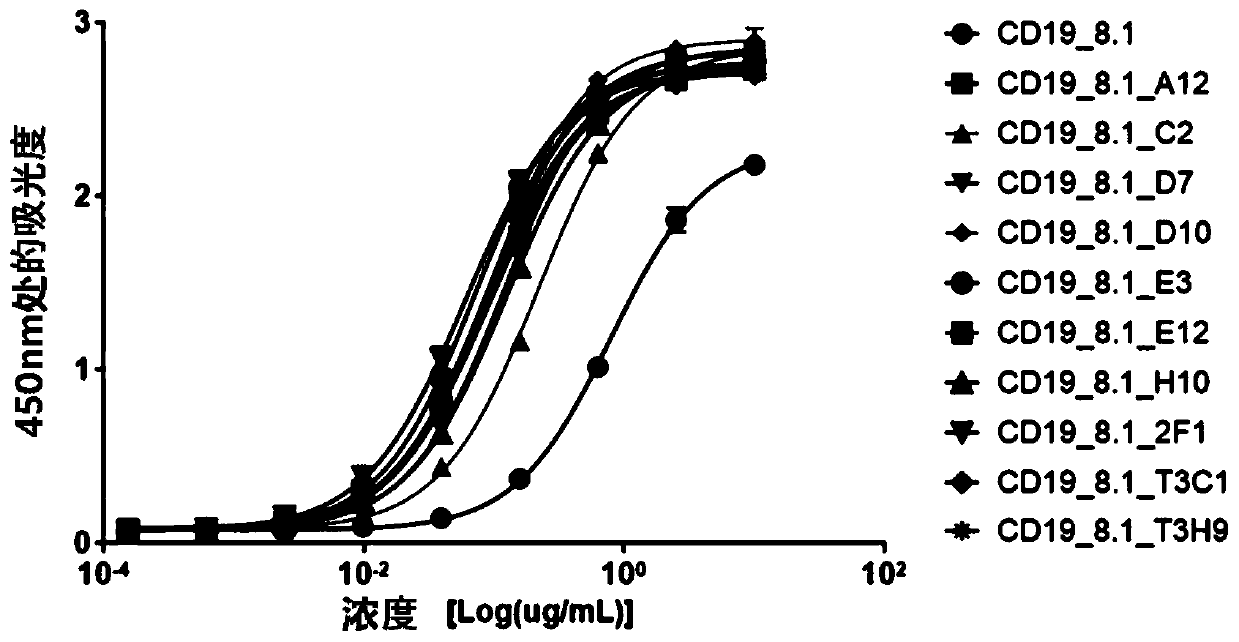 Antibody or antigen-binding fragment thereof that specifically recognizes b cell malignancies, chimeric antigen receptor comprising same, and uses thereof