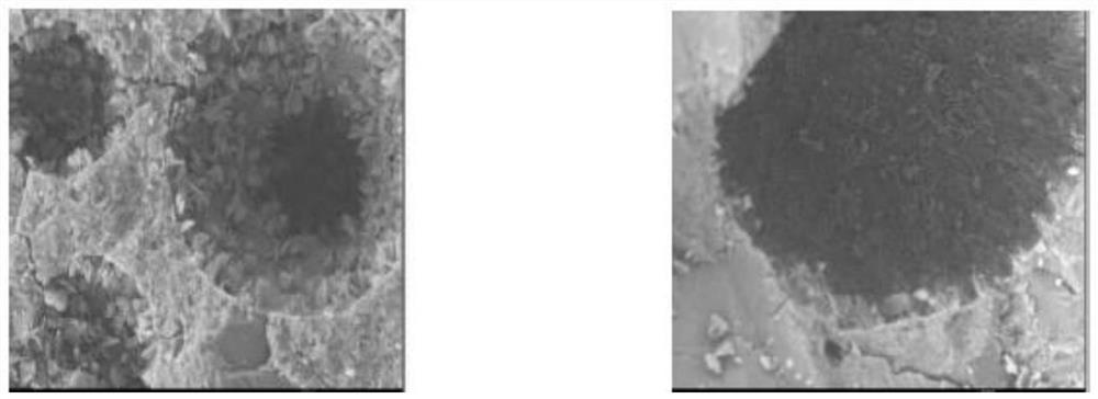 High-corrosion-resistance double-fiber co-doped modified repair mortar and preparation method thereof