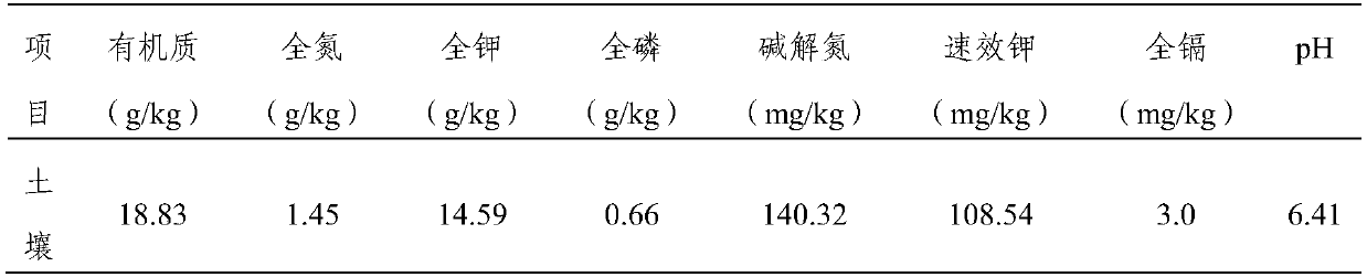 Modified illite powder microbial agent as well as preparation method and application thereof
