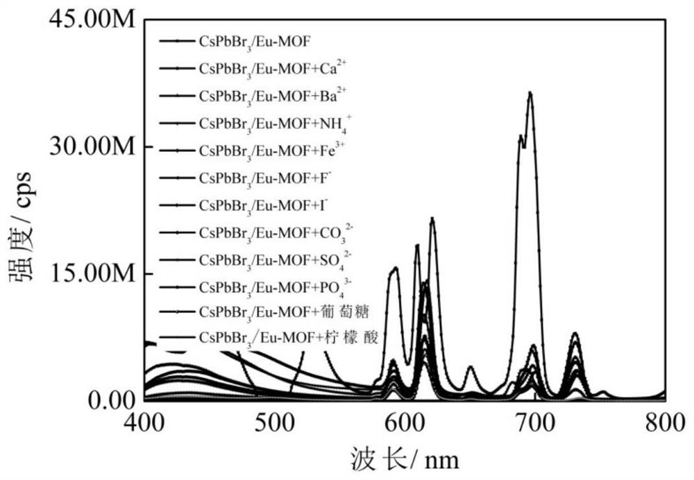 Composite fluorescent material with multiple fluorescence characteristics as well as preparation method and application thereof