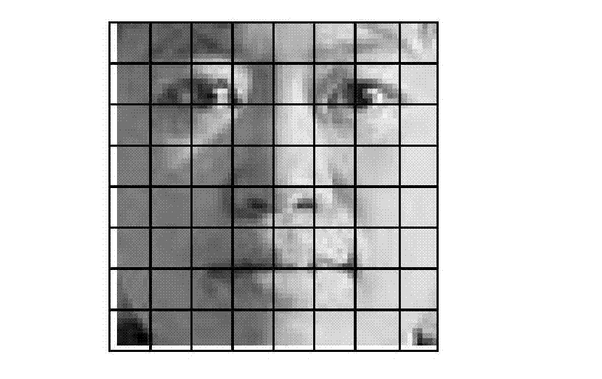 Human-face identification method based on local contrast pattern