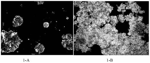 A kind of fat and oil with retained nutrients and its processing technology