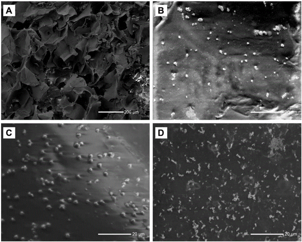 Preparation method of nano-silver hybrid sericin porous gel antibacterial material, product and application thereof