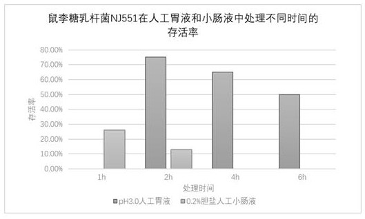 Probiotic composition beneficial to improvement of immunity and application thereof