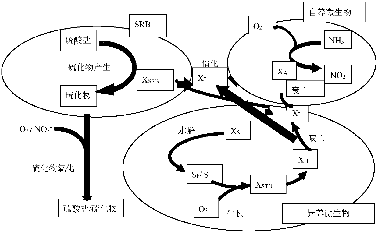 Prediction Method of Hydrogen Sulfide Production in Drainage Pipeline