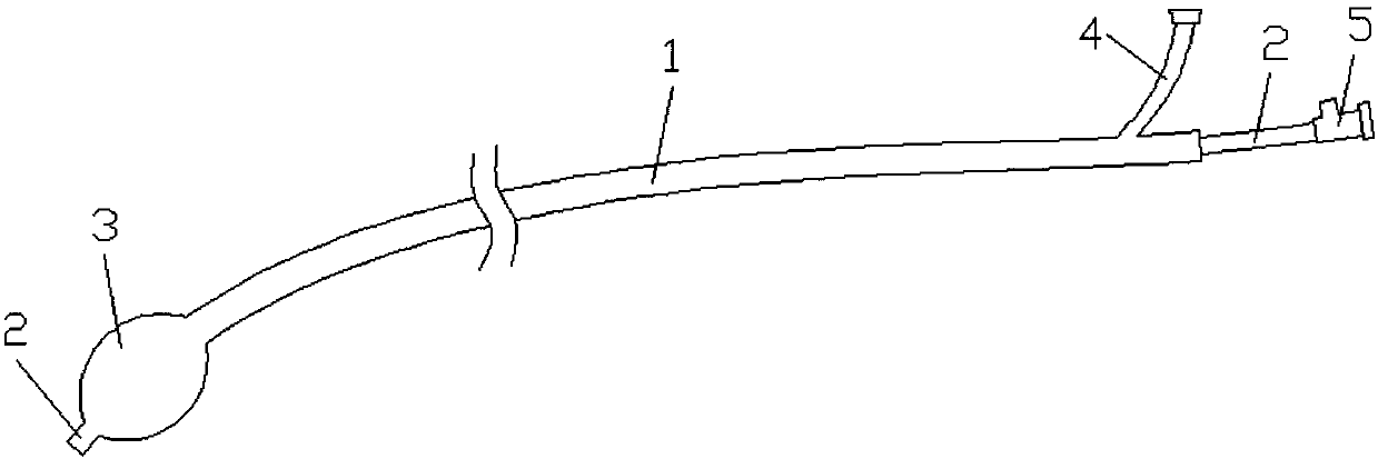 Balloon catheter assembly for bronchoscope