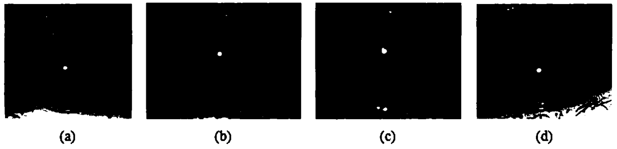 Method and device for positioning iris image