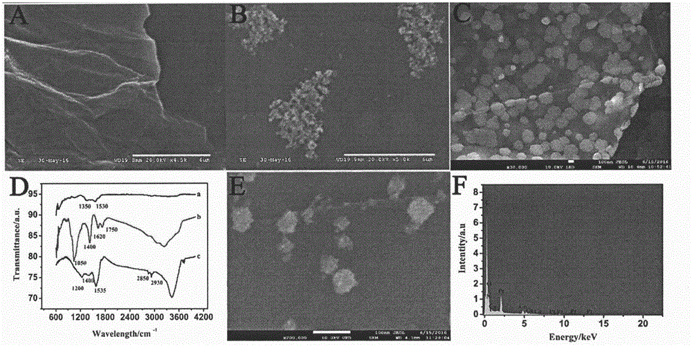 Preparation method of electrochemical sensor for detecting polymorphism of ADRB1-115G&gt;C gene