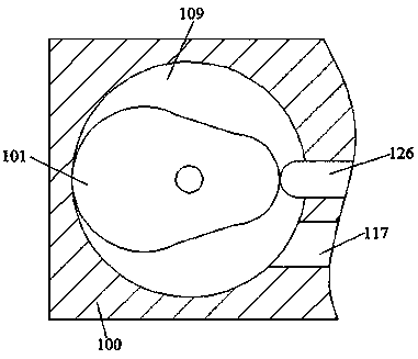 Improved immunity-enhancement drug device