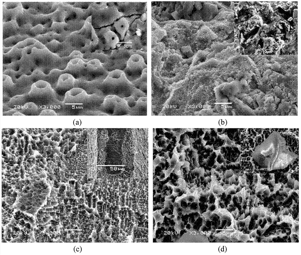 Preparation method for wettability controllable porous structure of titanium and titanium alloy surface