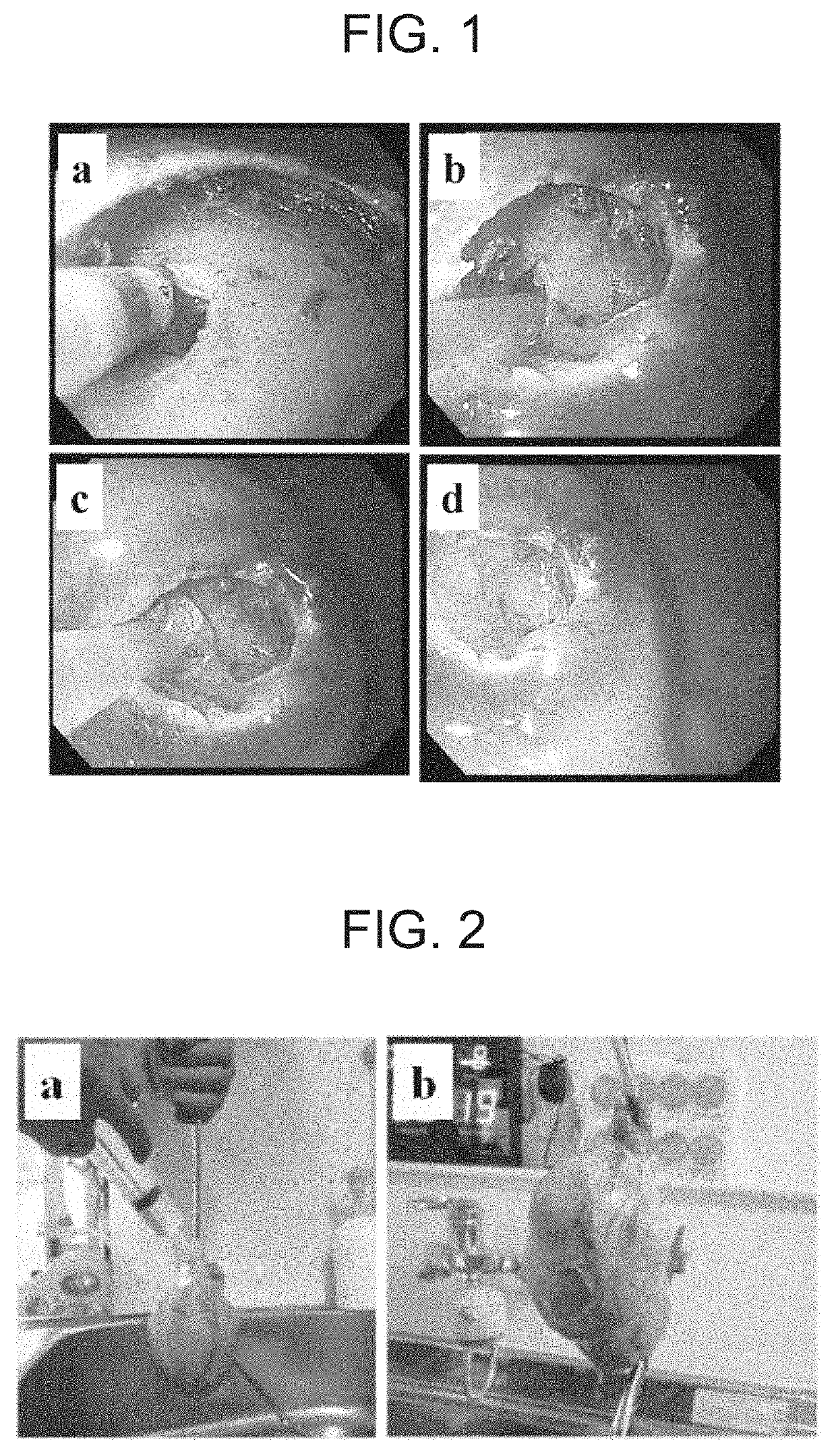 Sol for Occluding Holes in Living Tissue, Protecting Ulcers, and Treating Vascular Embolization