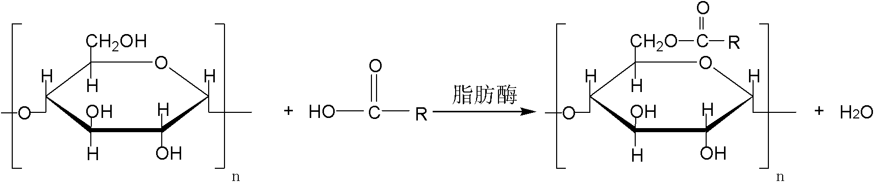 Method for preparing starch aliphatic ester by enzyme catalysis