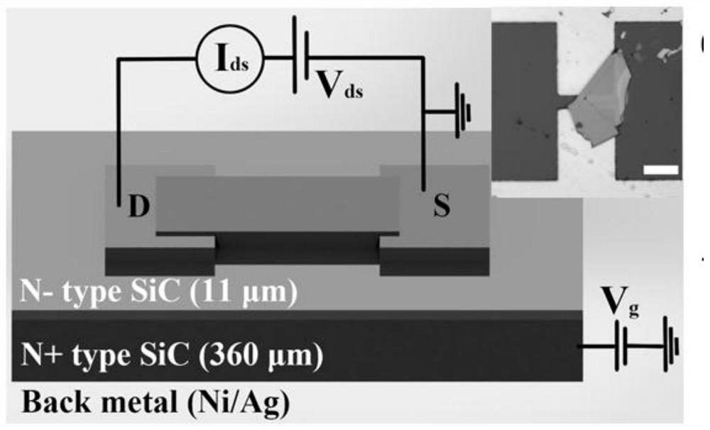 A kind of SIC-based tungsten disulfide ultraviolet-visible photodetector and its preparation method and application