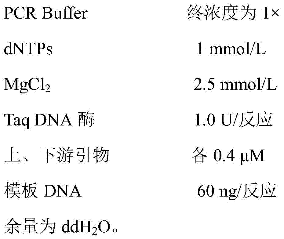 Molecular-specific marker primers for cherry blossom cultivars "Songyue" and "Yujin"