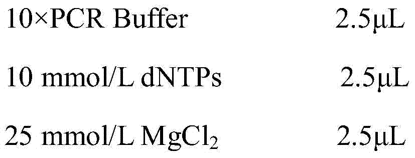 Molecular-specific marker primers for cherry blossom cultivars "Songyue" and "Yujin"