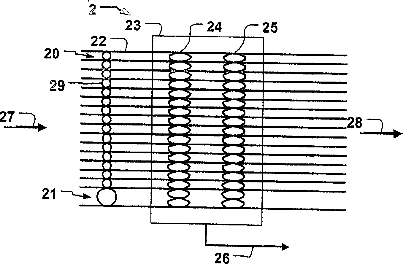Fluid partitioning in multiple microchannels