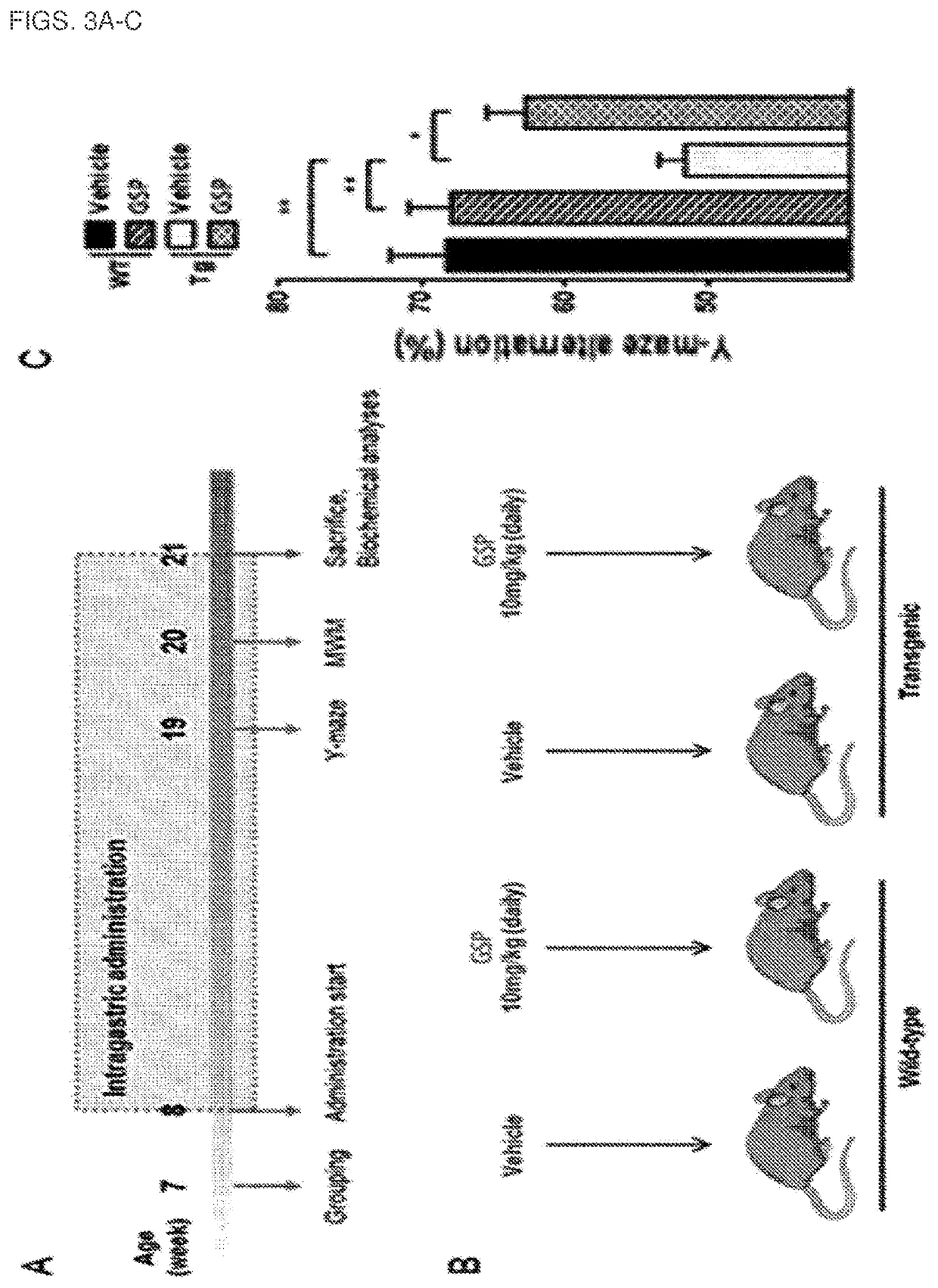 Composition comprising gossypetin for prevention or treatment of neurodegenerative disease