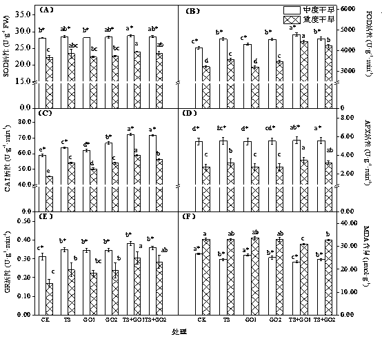 Method for regulating and controlling drought stress festuca arundinacea protection enzyme and malondialdehyde by using graphene oxide and waste lawn nursery strip