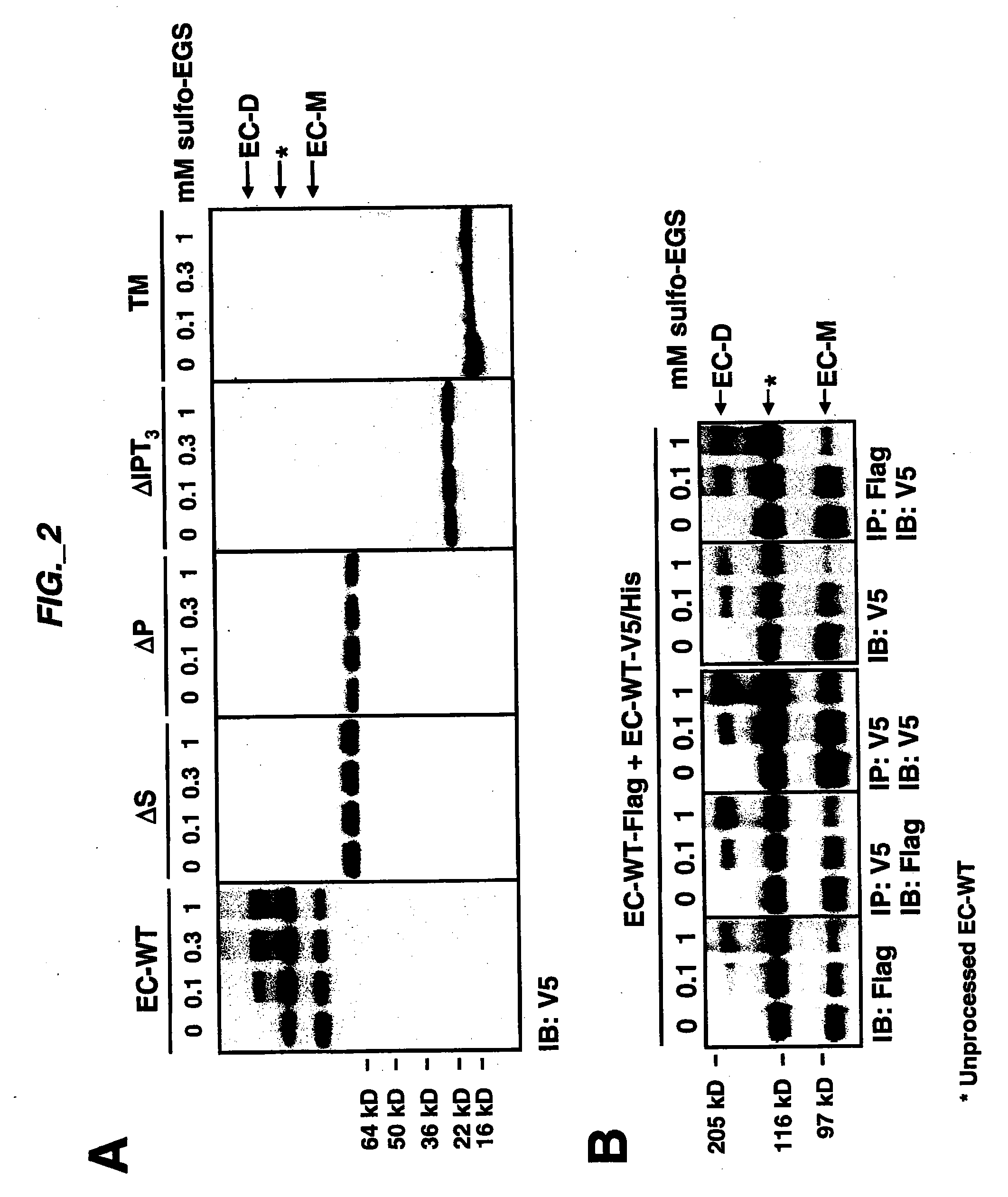 Methods and compositions for inhibiting c-met dimerization and activation