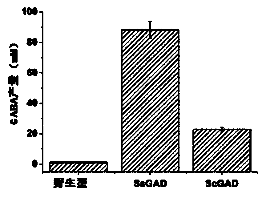 Method for producing gamma-aminobutyric acid through catalysis of saccharomyces cerevisiae cells and gamma-aminobutyric acid