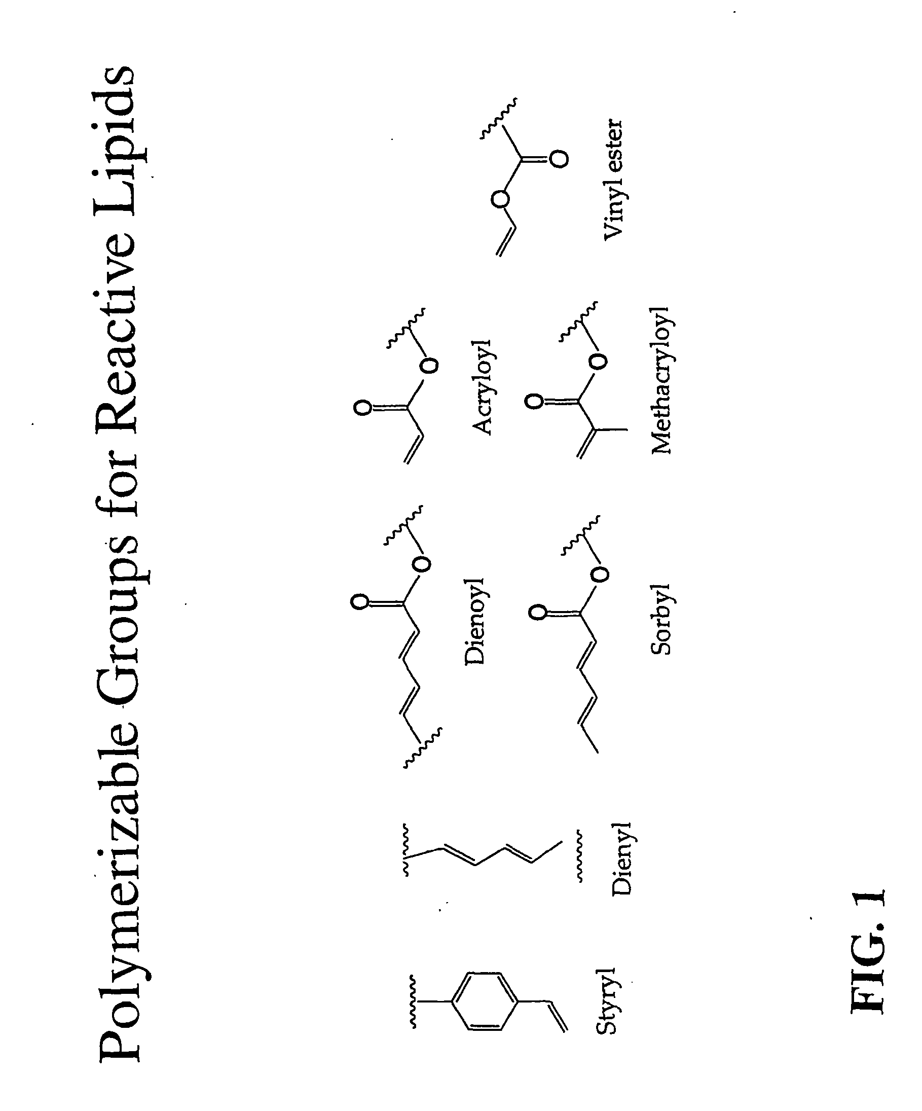 Stabilized biocompatible supported lipid membrane