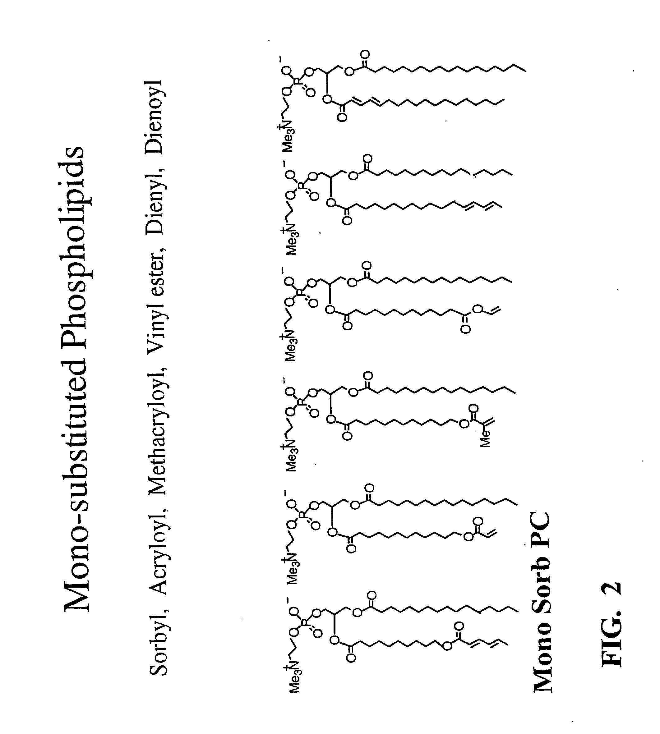 Stabilized biocompatible supported lipid membrane