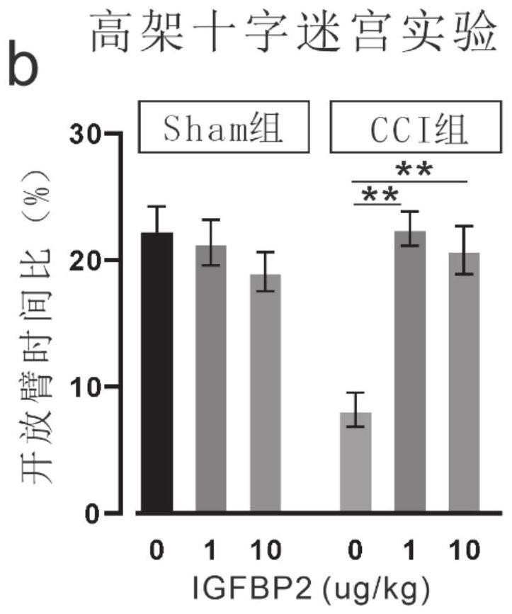 Application of insulin-like growth factor binding protein 2 in preparation of medicine for treating mental disorder caused by cerebral trauma