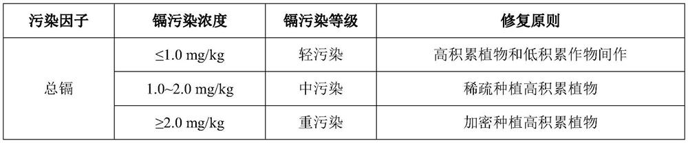 Method for restoring cadmium-polychlorinated biphenyl composite polluted soil by utilizing rotation of astragalus sinicus and sedum plumbizincicola