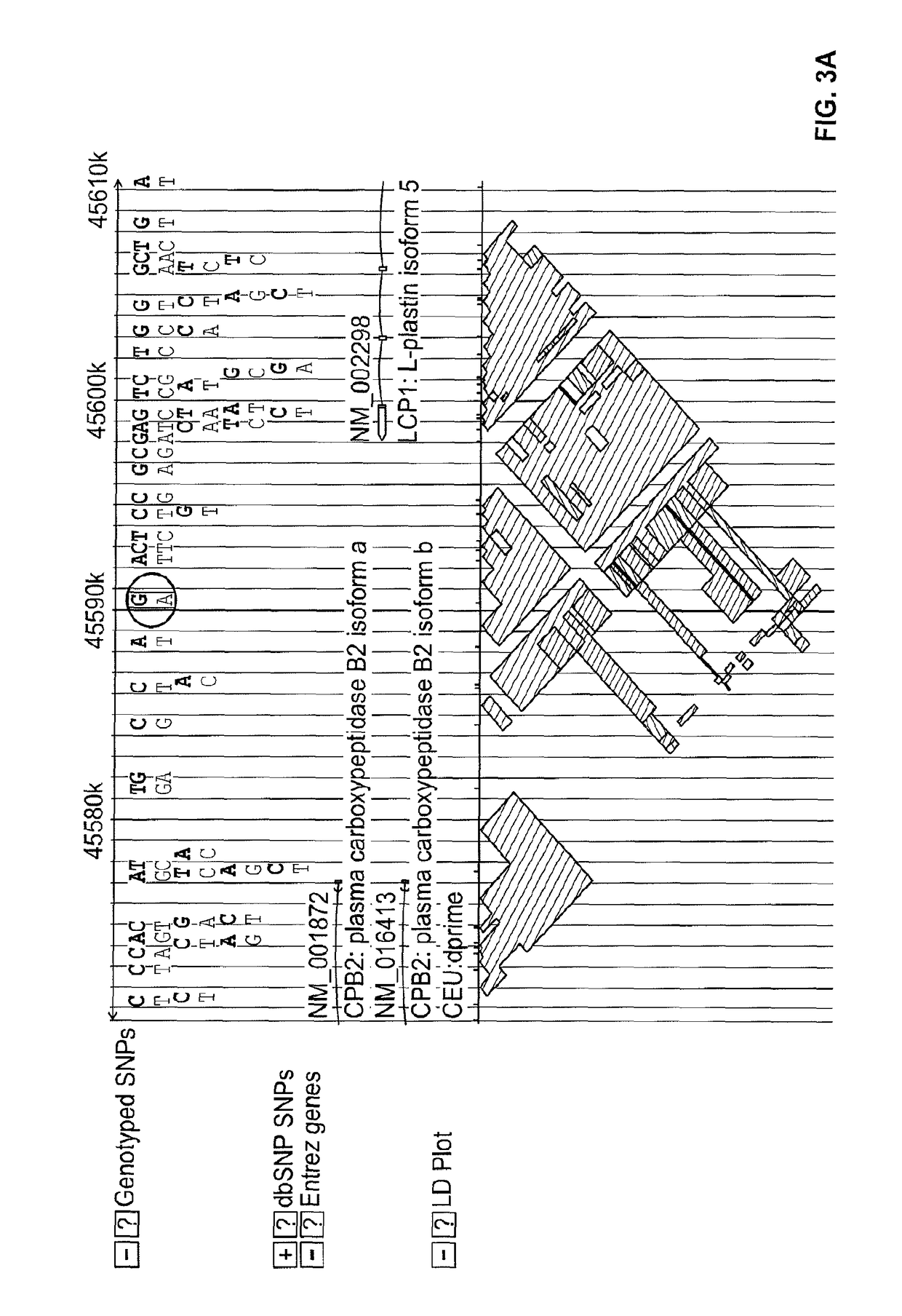 Methods and compositions of predicting activity of retinoid X receptor modulator