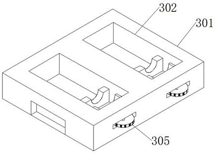 A kind of rabies virus antibody detection kit