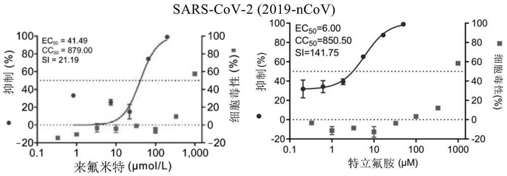 Anti-RNA (Ribonucleic Acid) virus medicine and application thereof