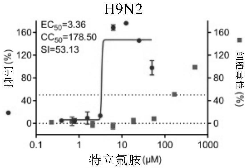 Anti-RNA (Ribonucleic Acid) virus medicine and application thereof