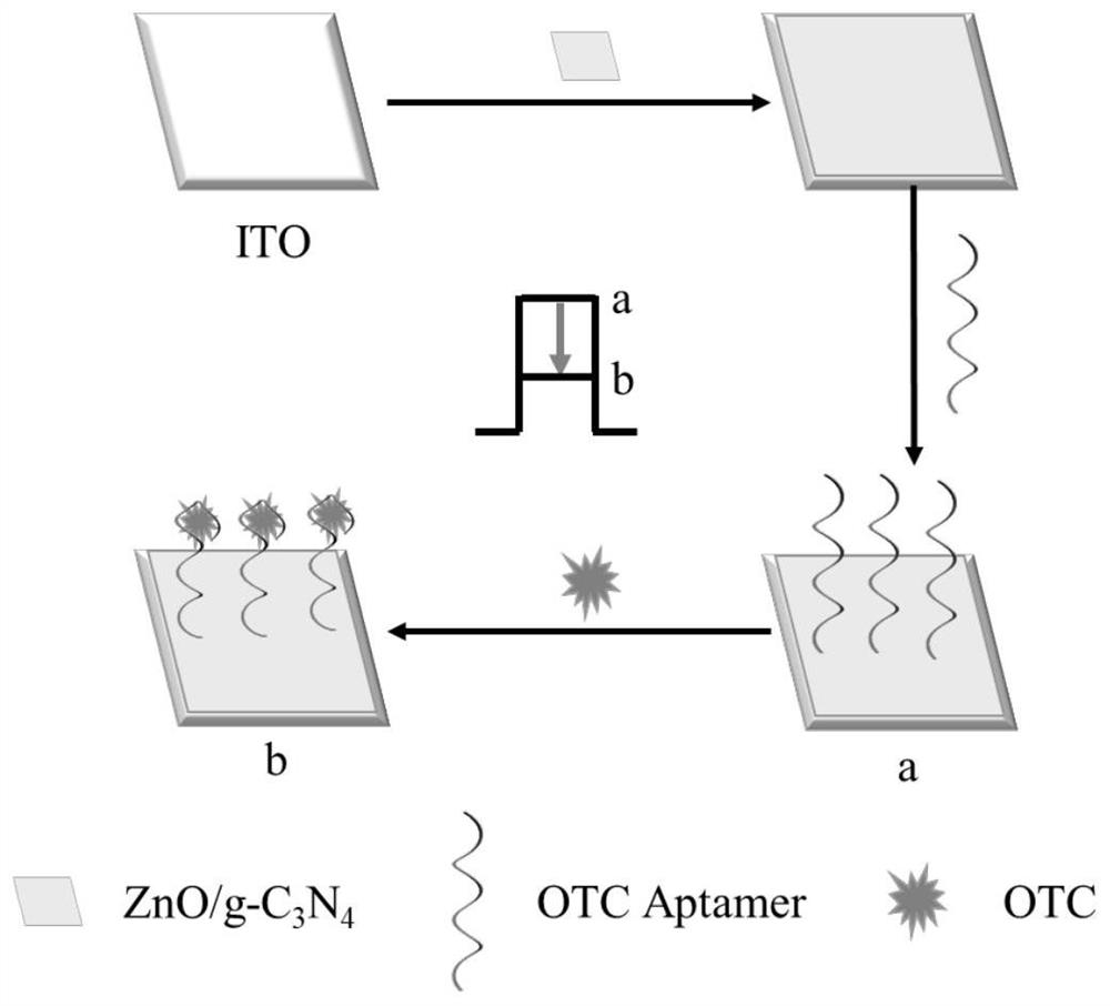 Preparation method of ZIF-8-derived ZnO/g-C3N4 and application of ZIF-8-derived ZnO/g-C3N4 in oxytetracycline sensor