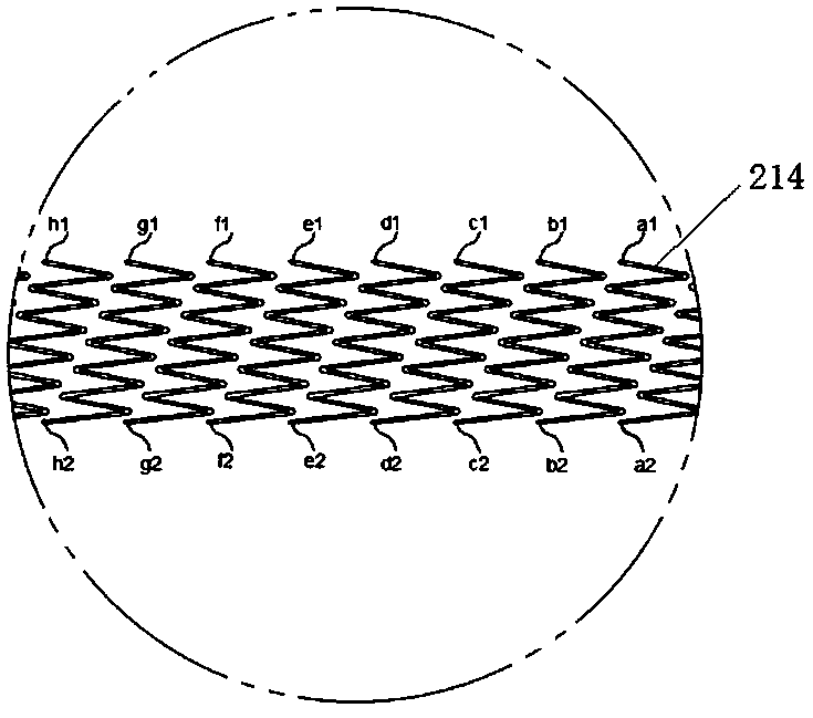 Vein vessel stent and delivery device thereof