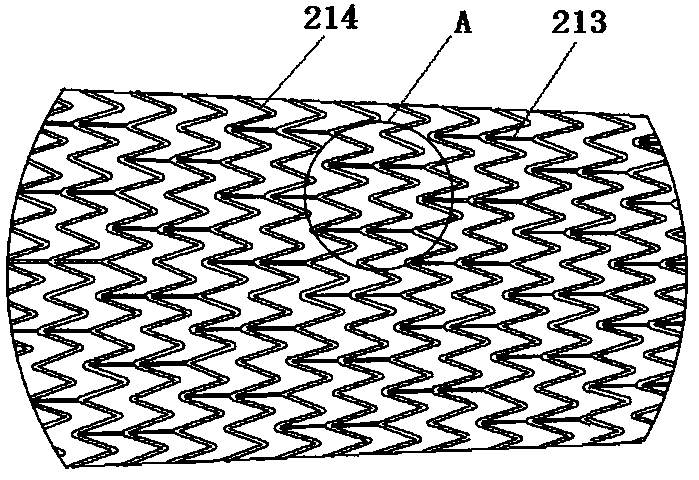 Vein vessel stent and delivery device thereof