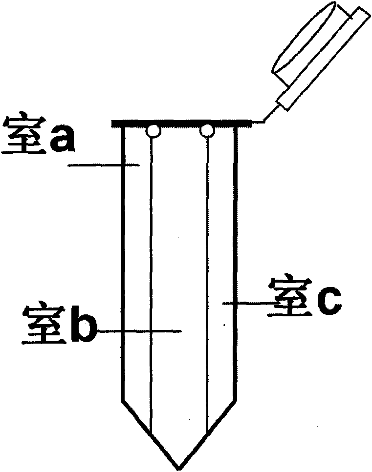 Container and method for detecting nucleic acid reaction